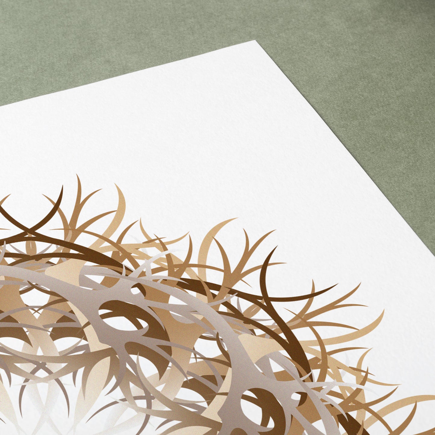 Interwoven Nest